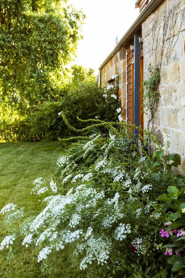 Daisy Bank Cottages Ричмонд Экстерьер фото