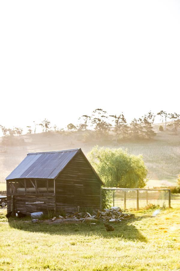 Daisy Bank Cottages Ричмонд Экстерьер фото