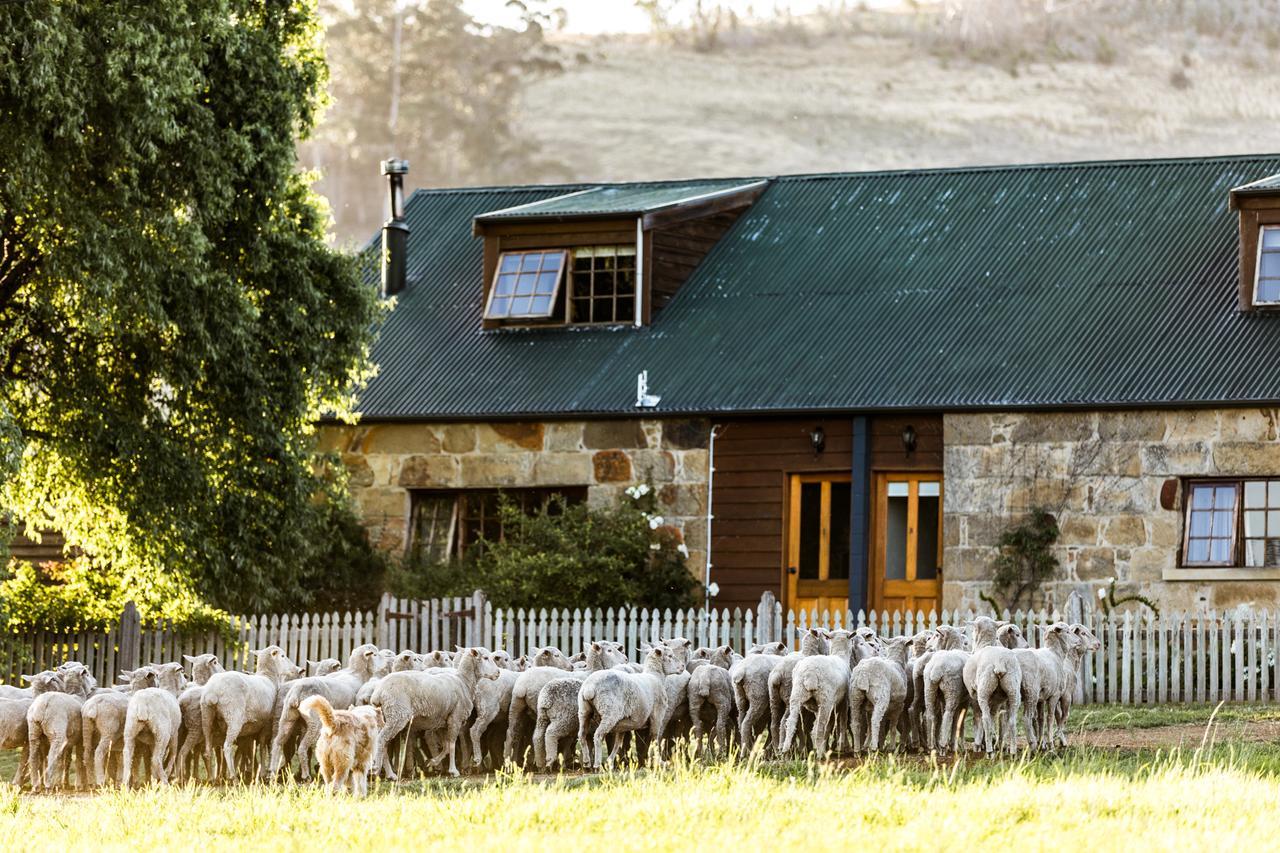 Daisy Bank Cottages Ричмонд Экстерьер фото